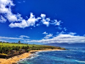 525897_531676944400_1437359801_n