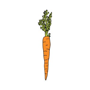carrot